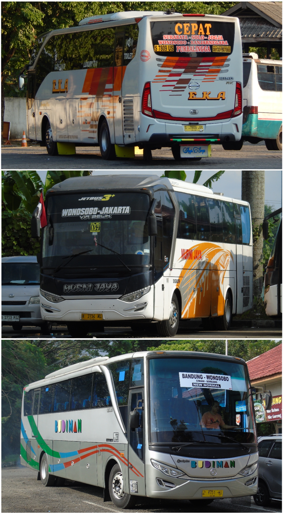 Bus AKAP Wonosobo
