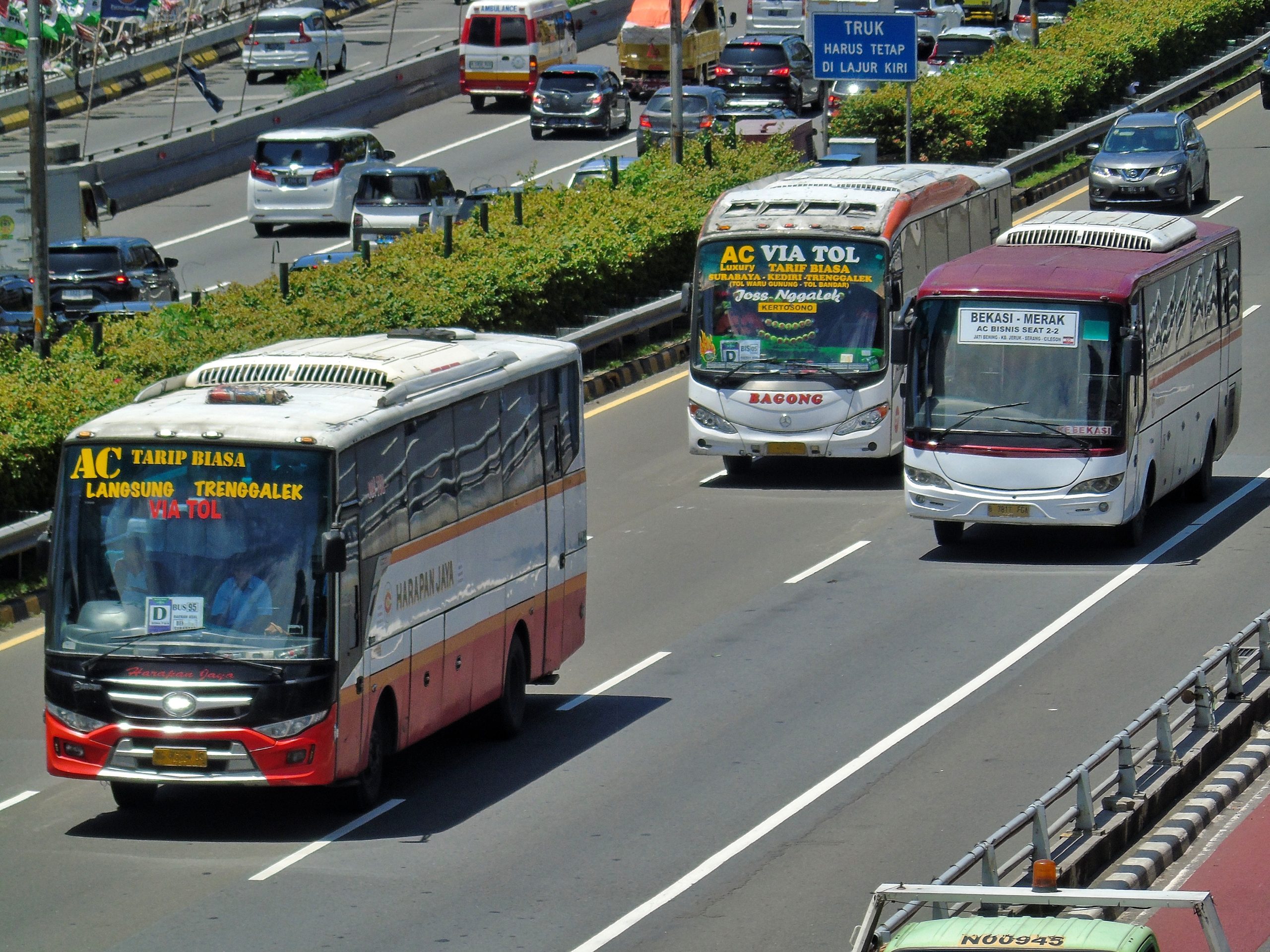 Bus Jawa Timuran