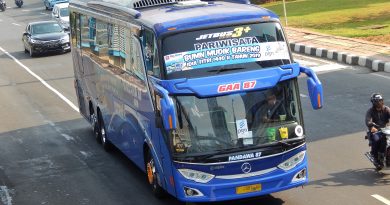 Bus Pandawa