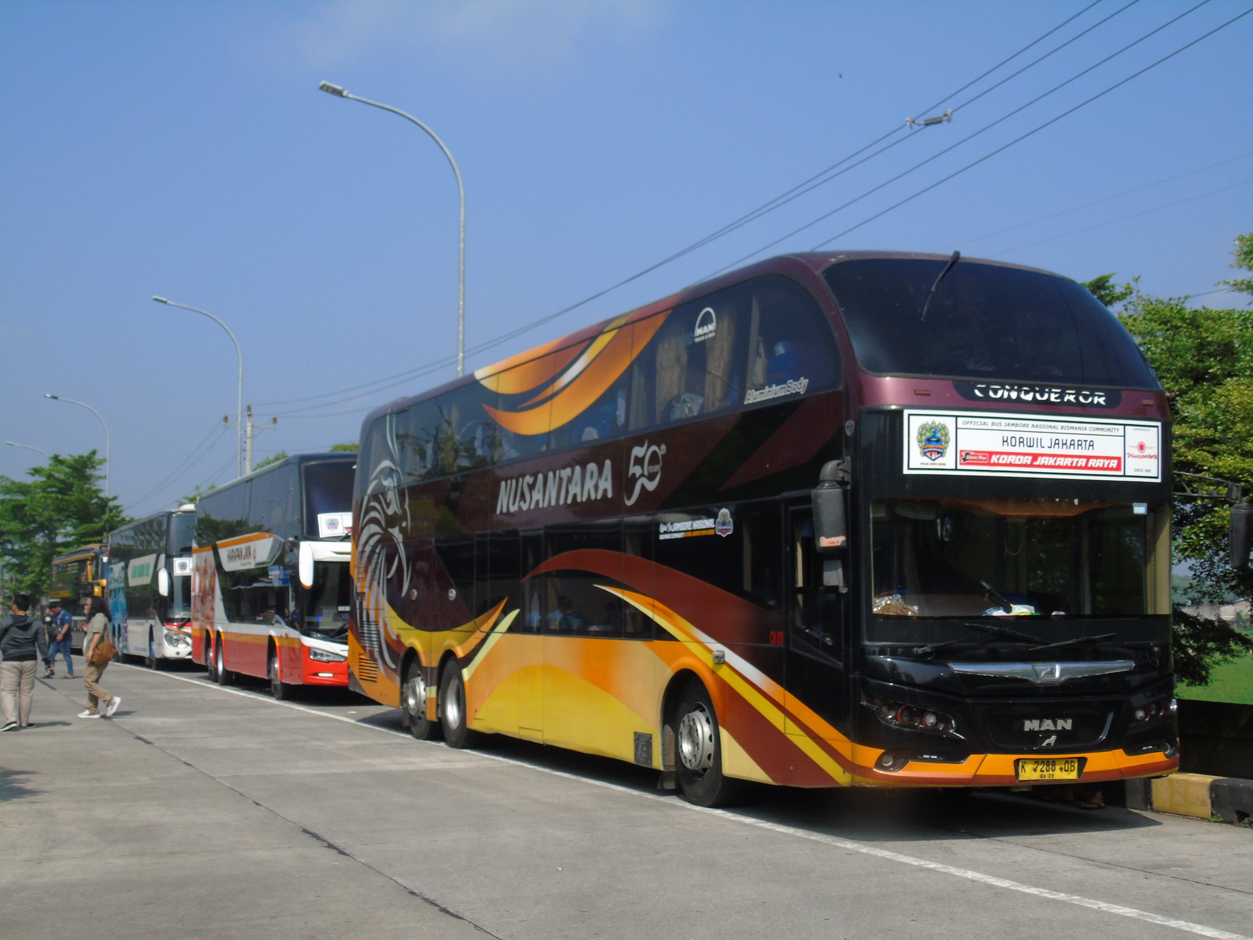 Bus mania