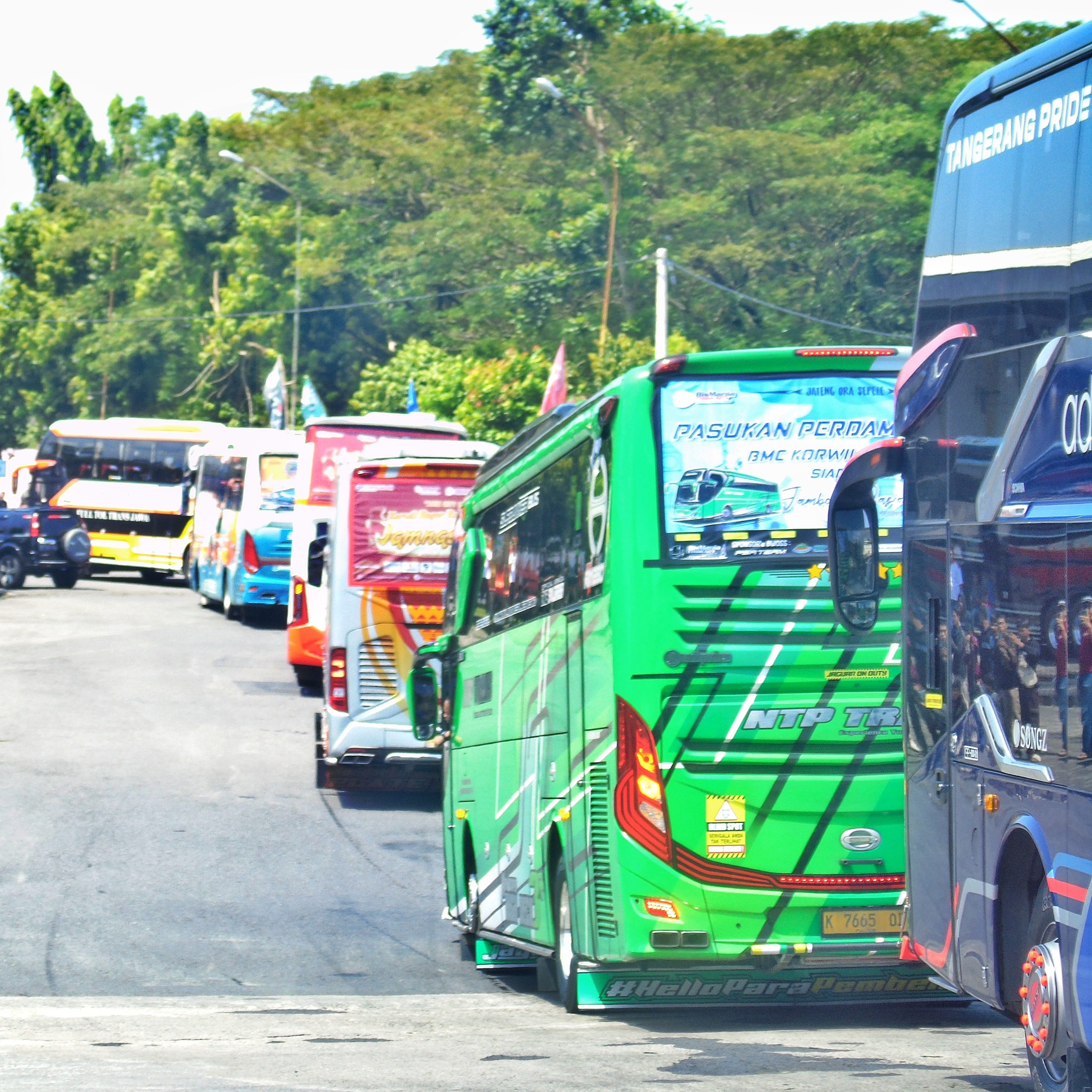 Bus mania