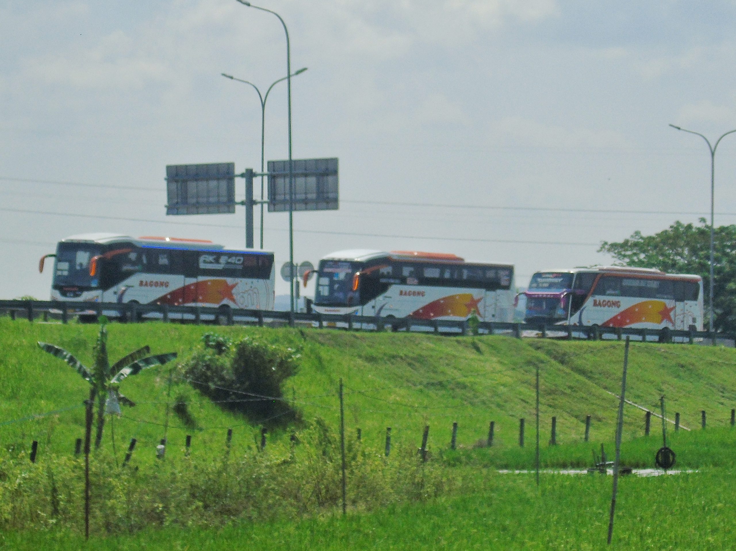 Bus mania