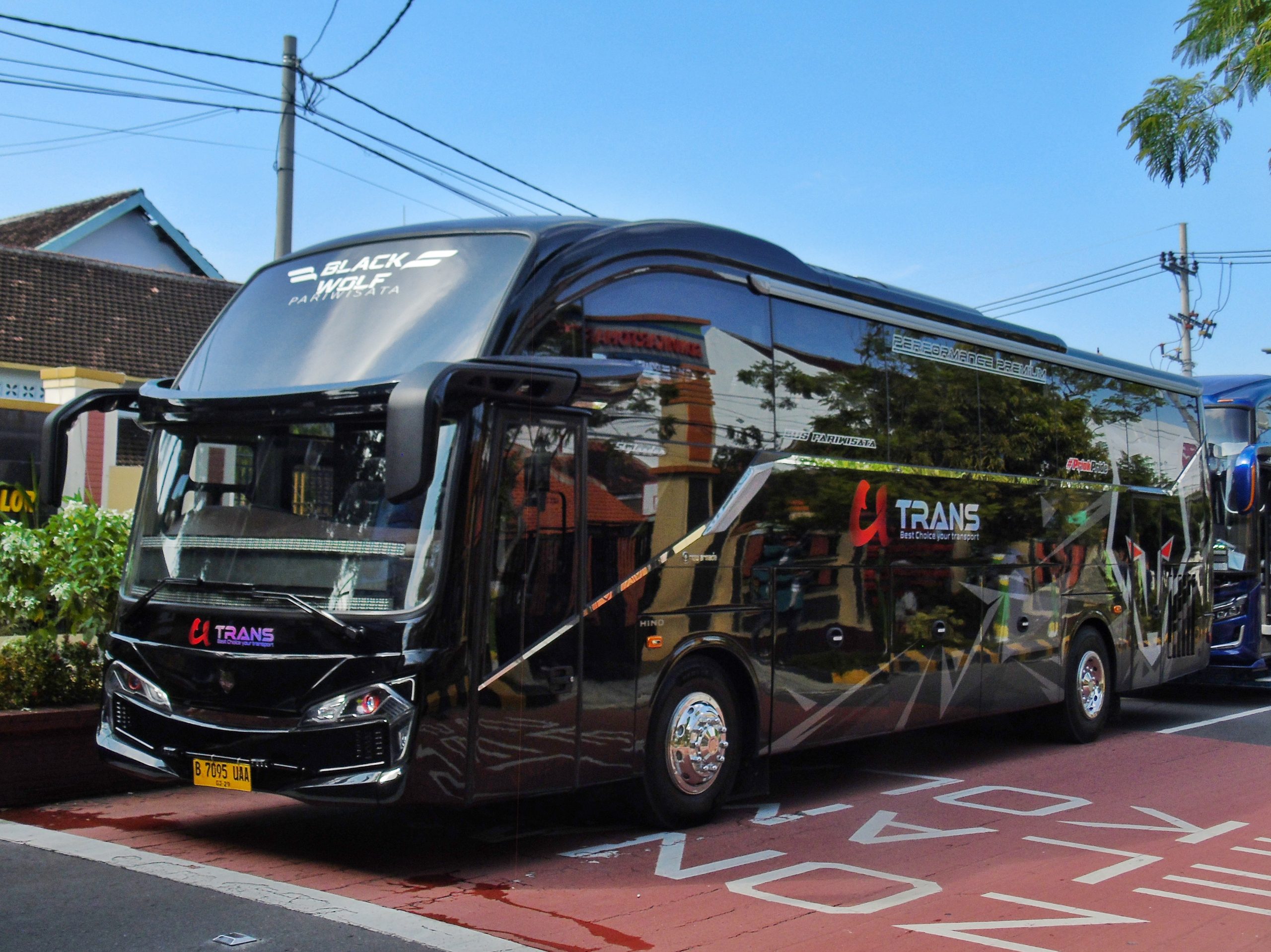 Bus mania