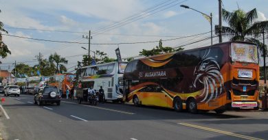 Bus mania