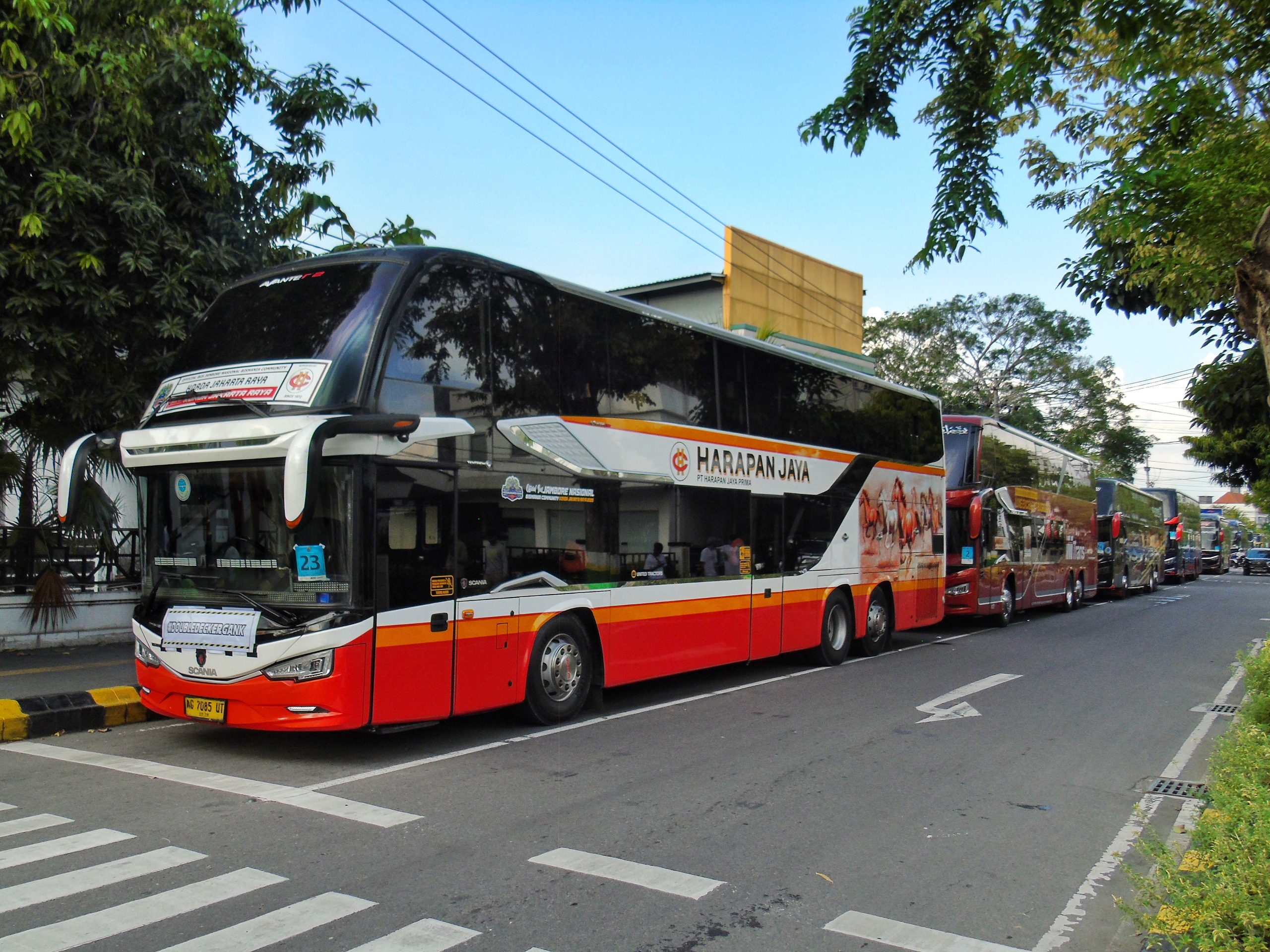 Bus mania