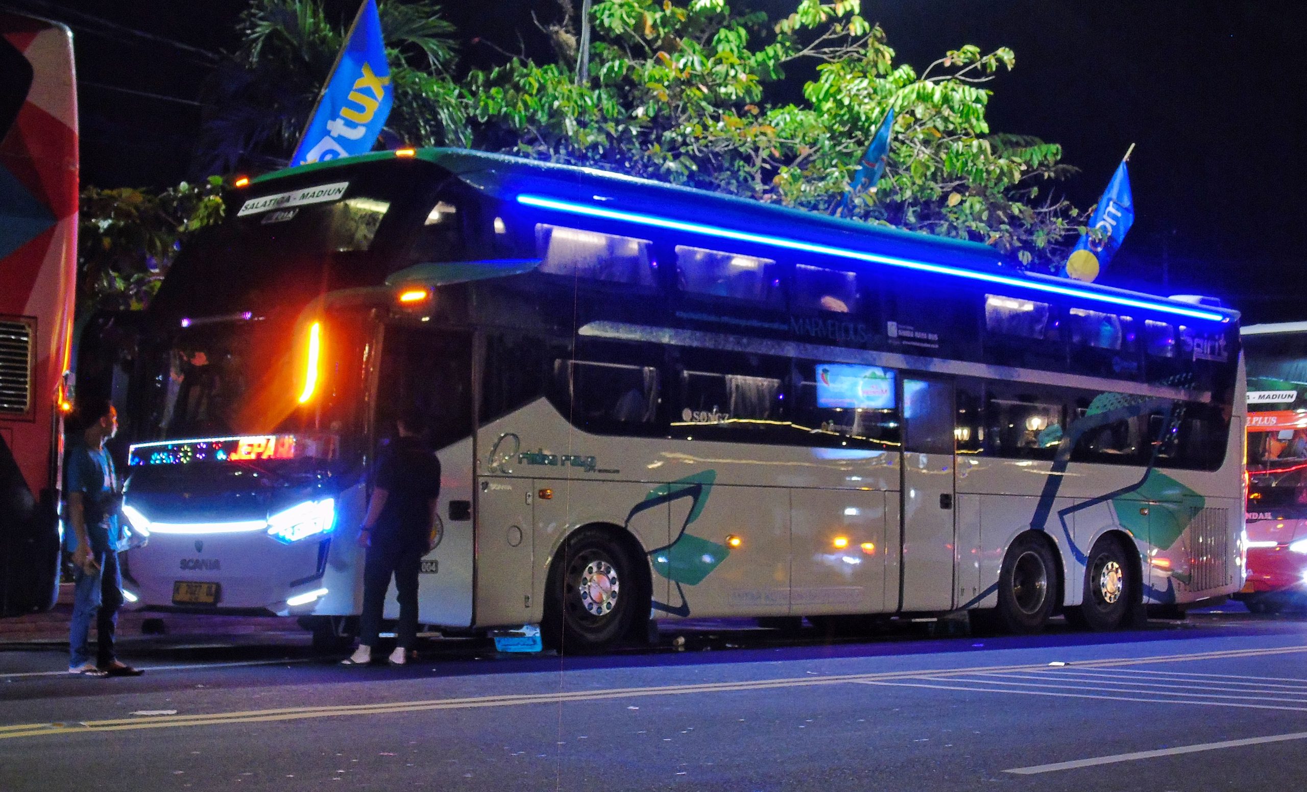 Bus mania