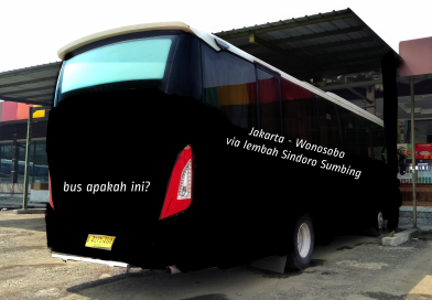 Bus hitam