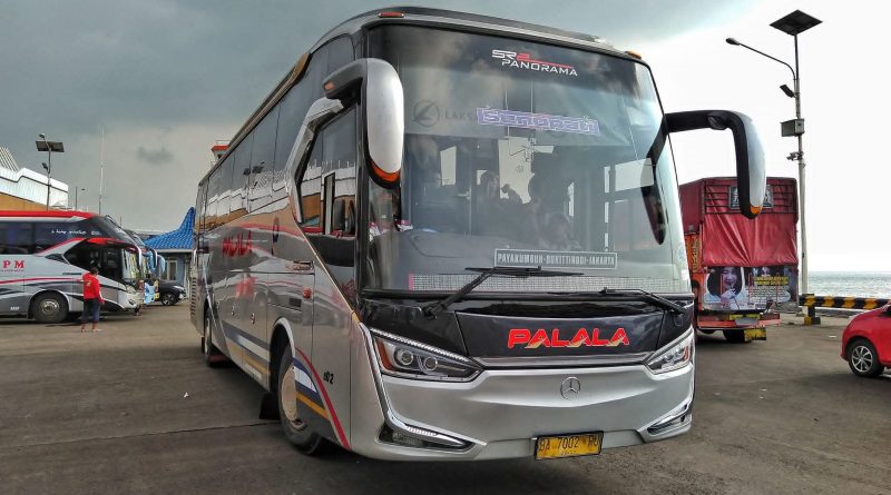 Bus palala
