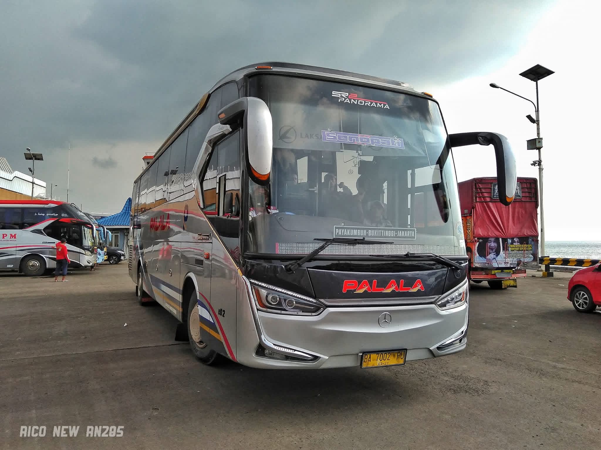 Bus palala